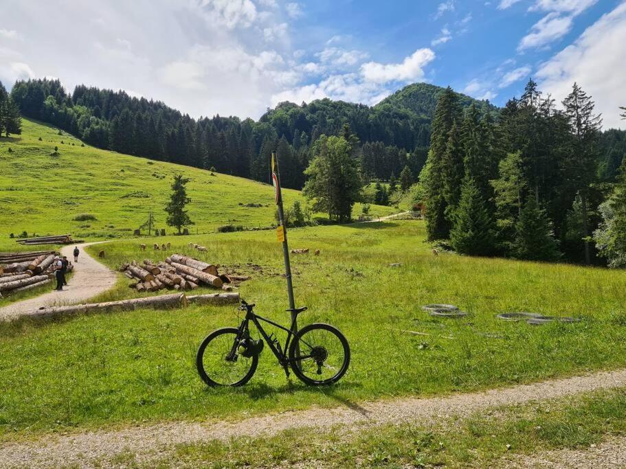 Vintage Studio Am Chiemsee Übersee المظهر الخارجي الصورة
